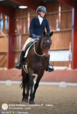 How to help your herd bound horse - Natural Horse World British Bridleless competition