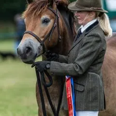LightRider Amalia Bitless Bridle - Natural Horse World Monsieur Chapeau, winning a championship at the MEPBG Exmoor Pony Show at Brendon Show (Image: Geoff Baylis)