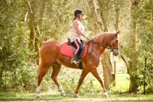 LightRider Amalia Bitless Bridle - Natural Horse World LightRider Dressage Deb