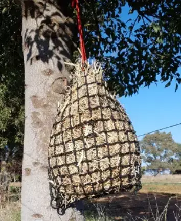 Deluxe Knotless Hay Net 3cm, 4cm or 6cm hole size