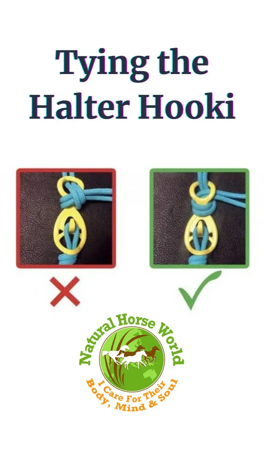 HalterHookiTying (1)