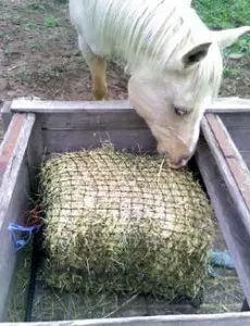 Slowfeeder hay nets have made life so much better for horses. 
