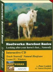 A comprehensive and interactive text book on CD. 