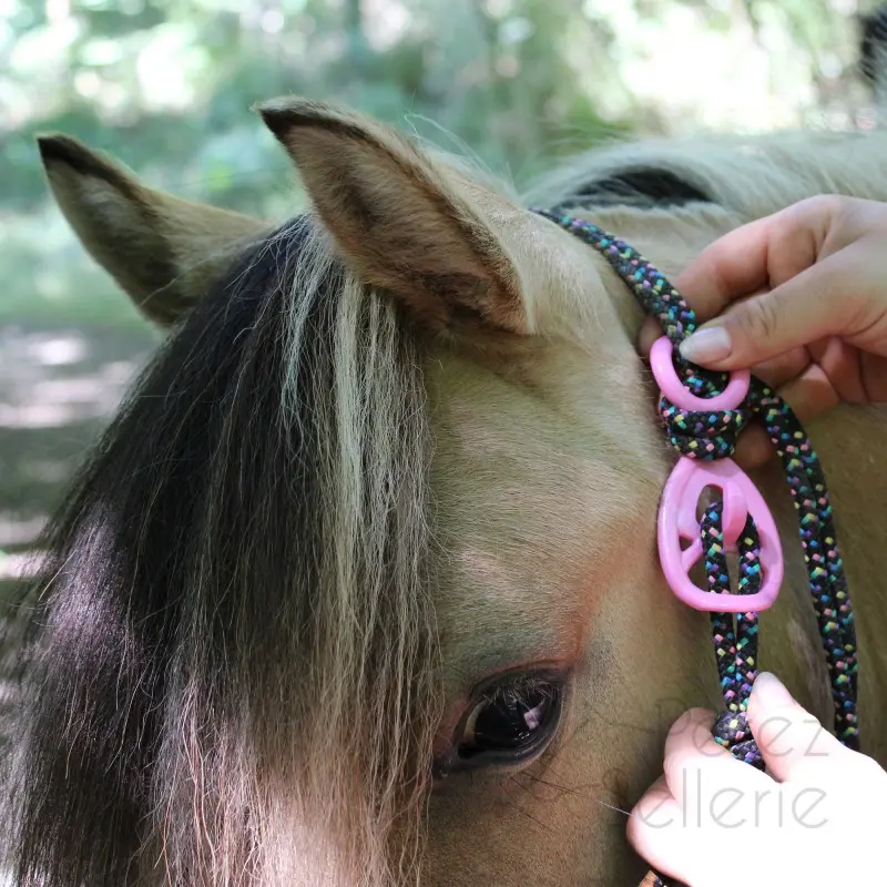 Hooki-pinkOnHalterHorse