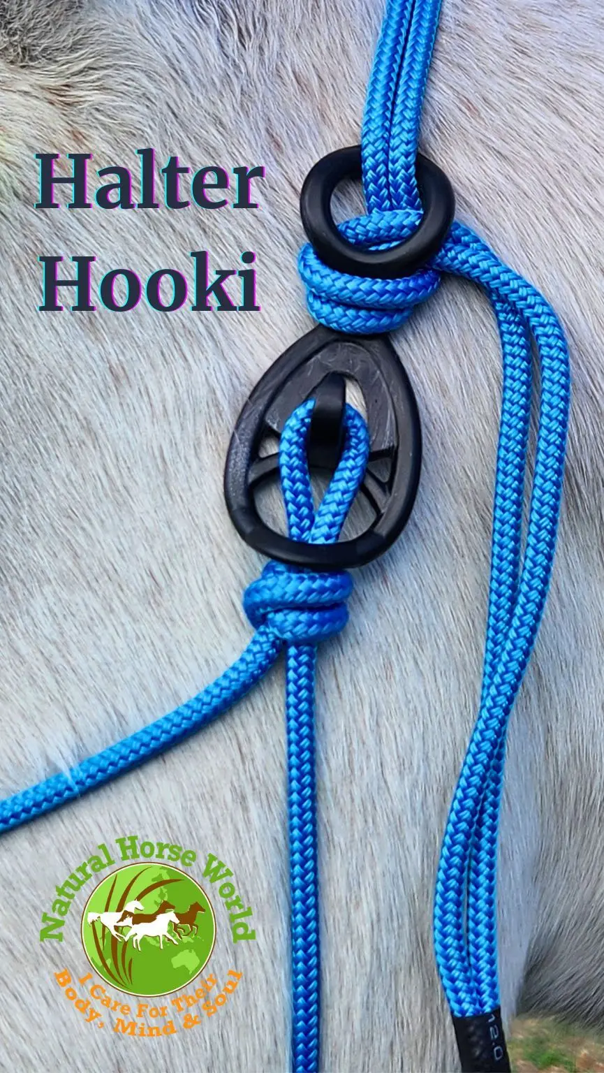 Halter Hooki Easy fastening and breakaway for rope halters