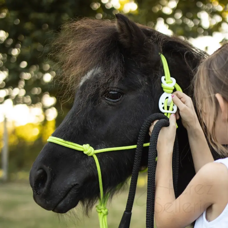 HookiWhiteOnPonyChild
