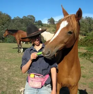 Gone Insect Horse Collar - Natural Horse World worming at liberty