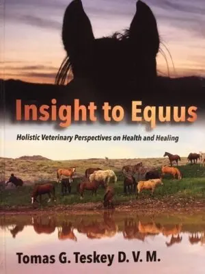 Gone Insect Horse Collar - Natural Horse World Insight-to-Equus-book