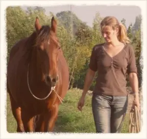 How to help your herd bound horse - Natural Horse World Karine Van den borre