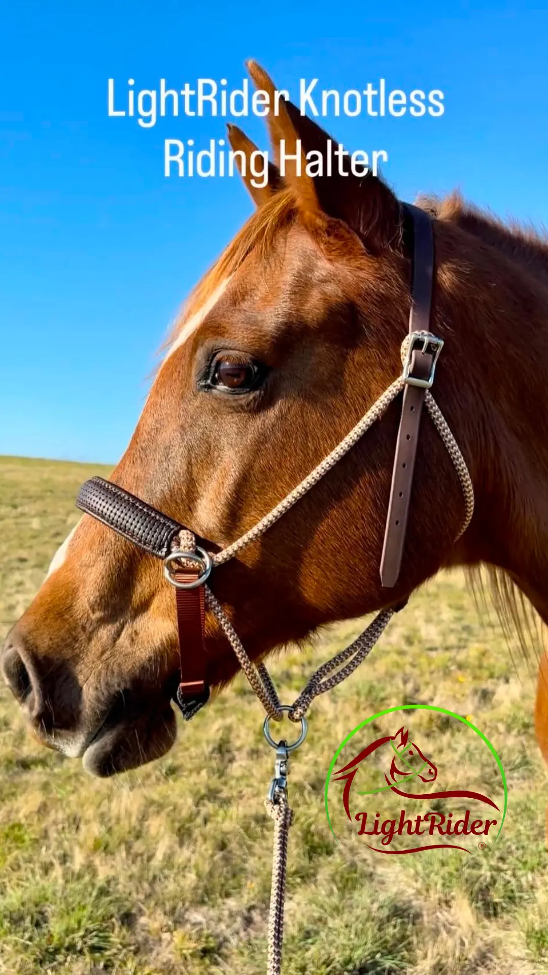 LightRider Knot-free Bitless Riding Halter