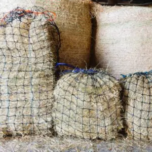 Knotted 6cm Hay Nets