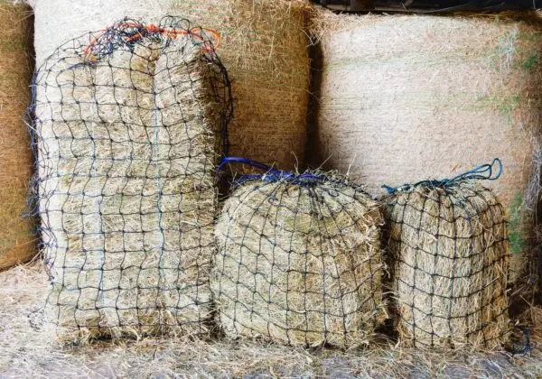 Knotted 6cm Hay Nets