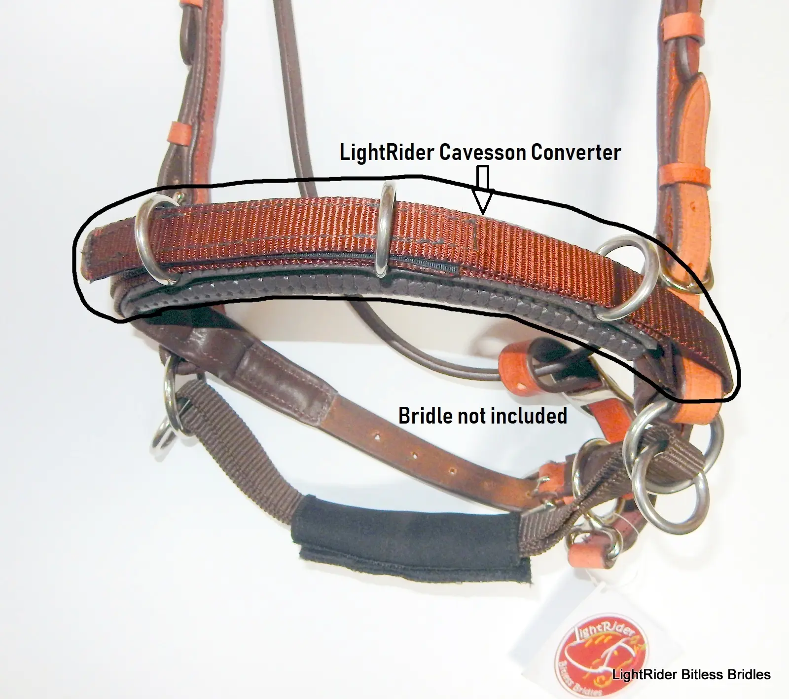 LightRider Cavesson Converter For Straightness Training & Lunging