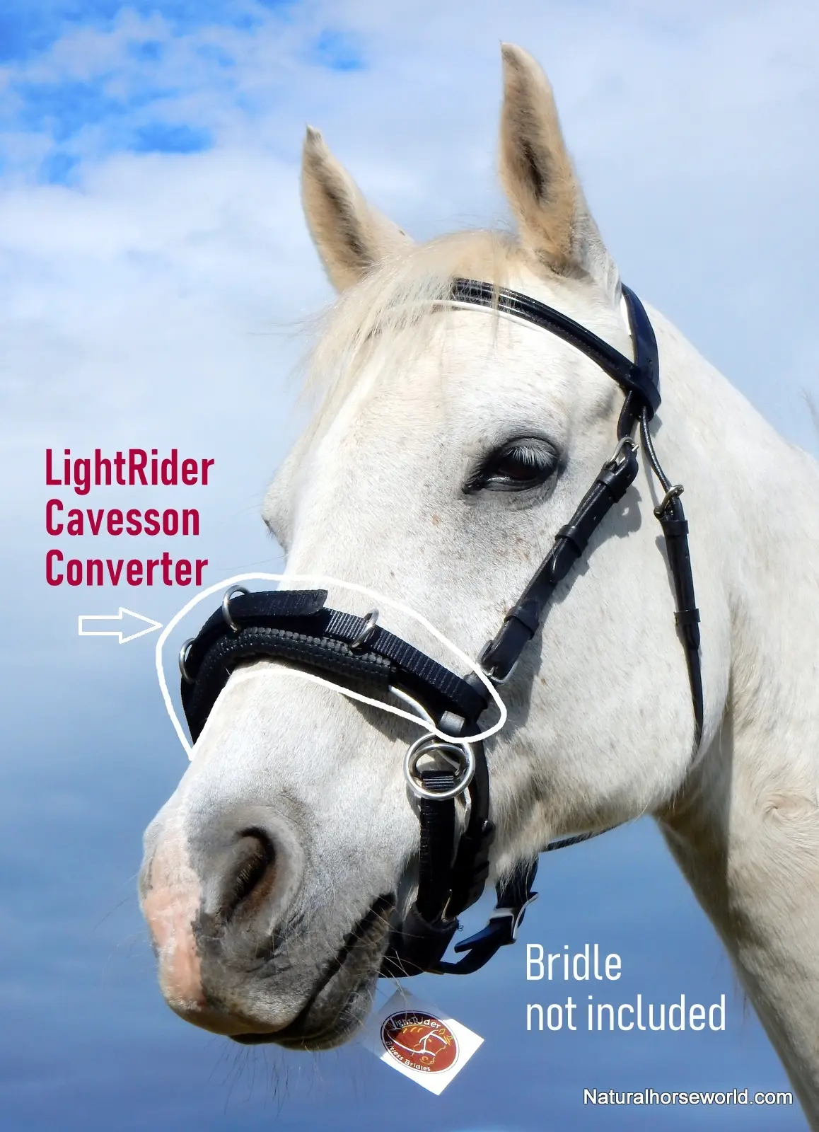 LightRider Cavesson Converter For Straightness Training & Lunging