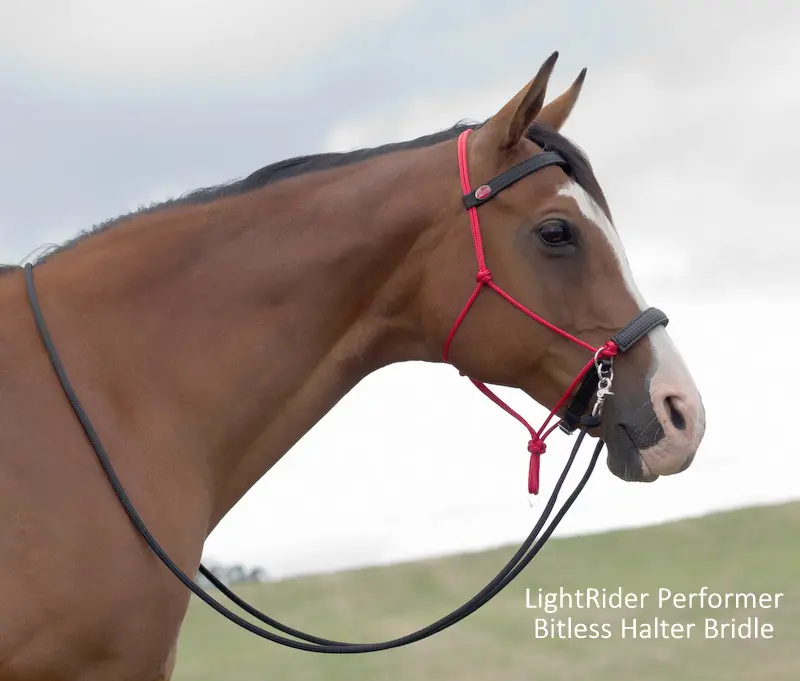LightRider Performer Bitless Bridle Red