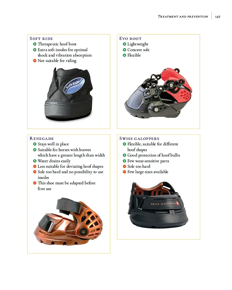 LaminitisBookP143