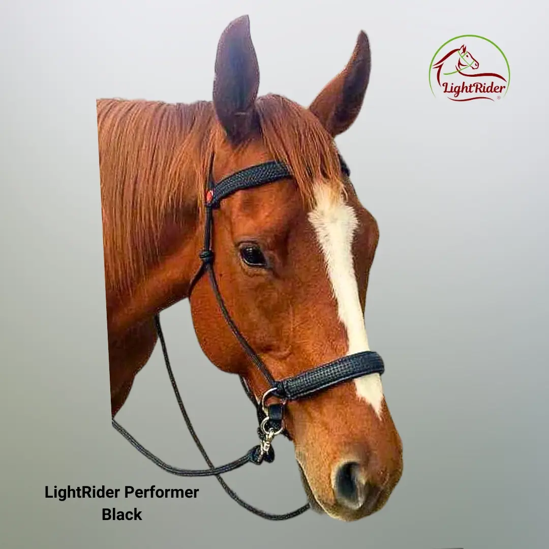 LightRider Performer Black