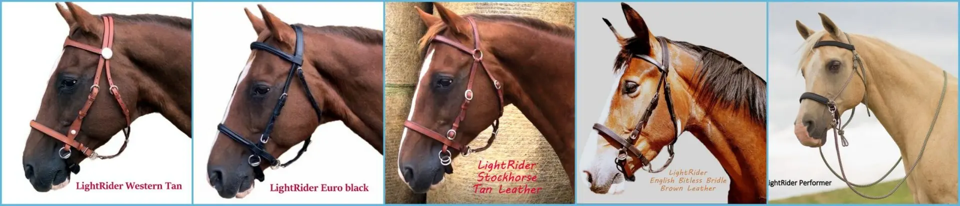 LightRiderBridlesNHWStore-001-scaled.jpg