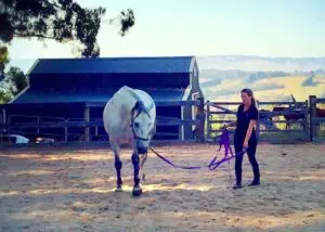 LightRider Amalia Bitless Bridle - Natural Horse World LungingKimDyer