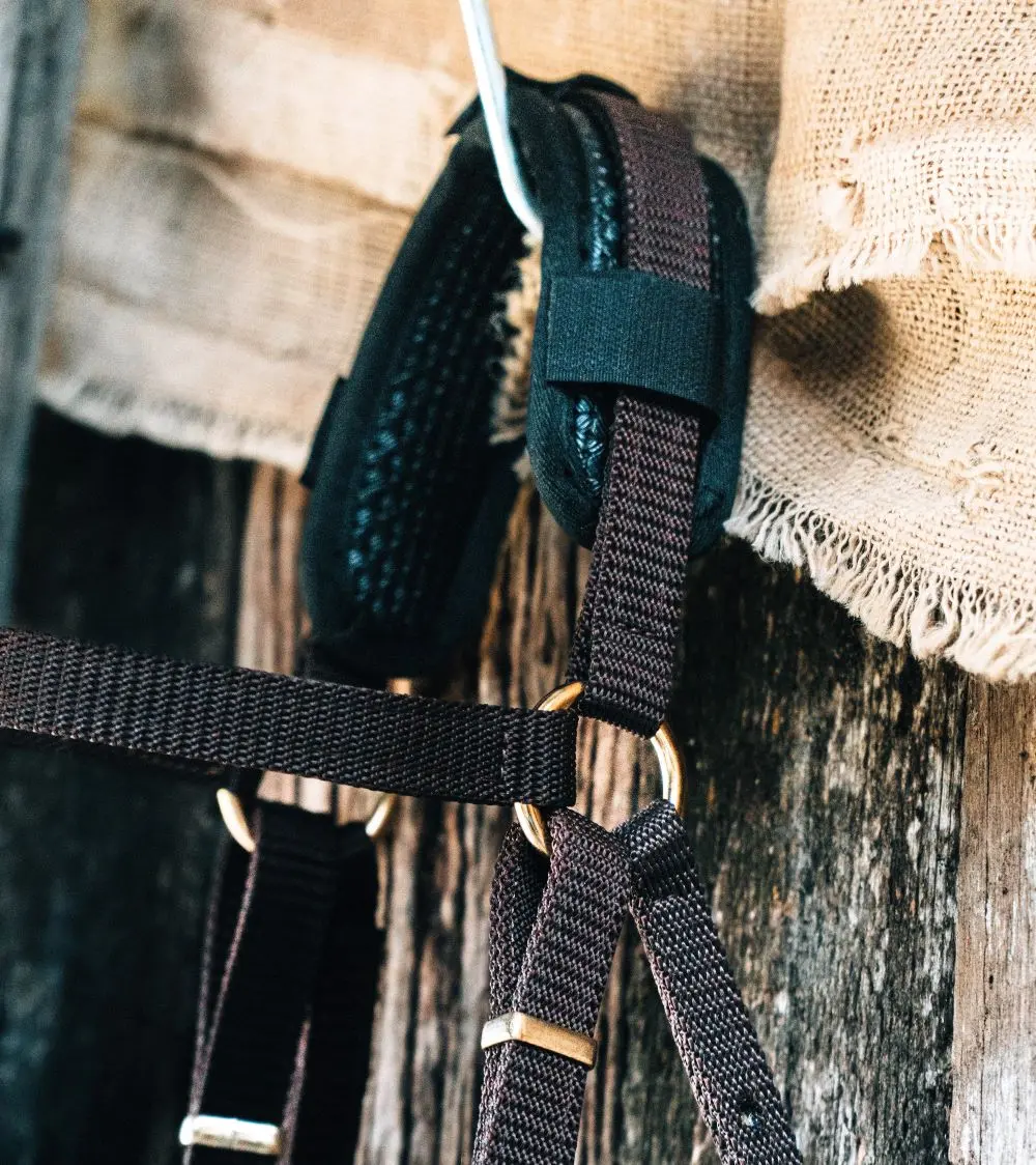 Poll cover on bridle