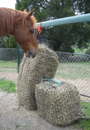 BagABale The Affordable Hay Transport Bag - Natural Horse World Slowfeedernets