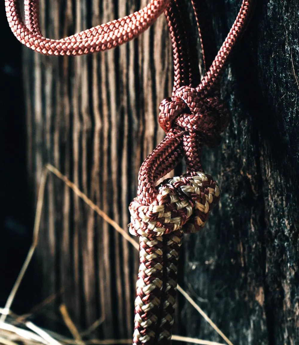 Supersoft Lead Rope End detail