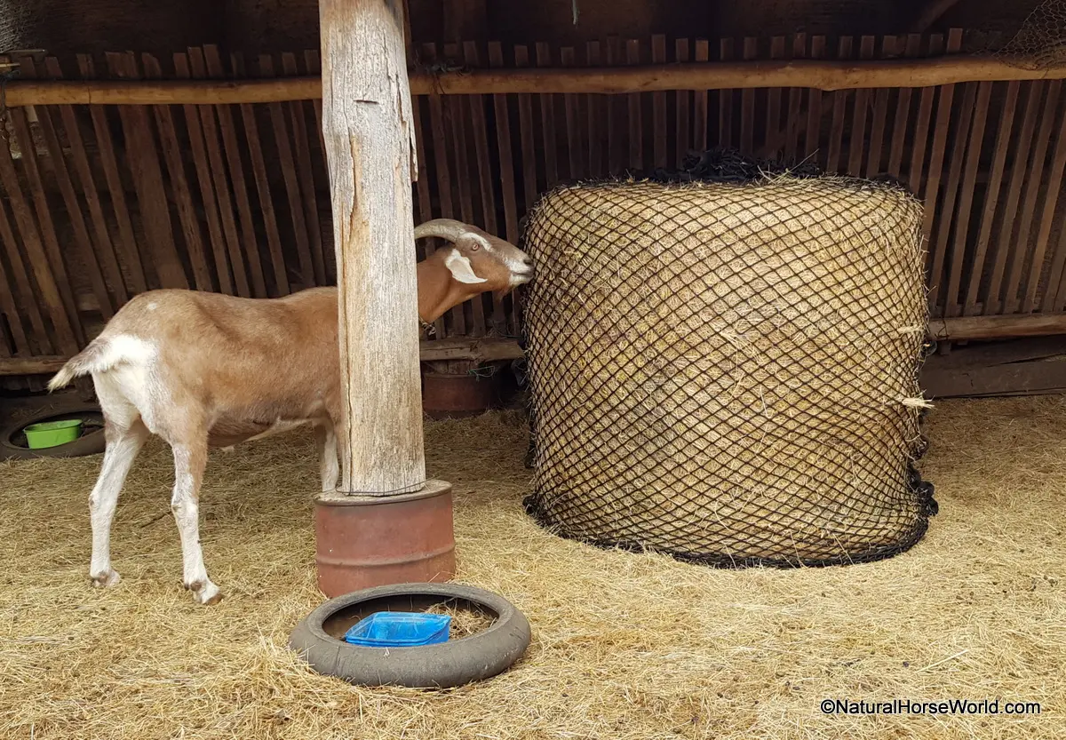 Deluxe Knotless Round Bale Slowfeed Hay Net 3cm, 4cm or 6cm hole sizes