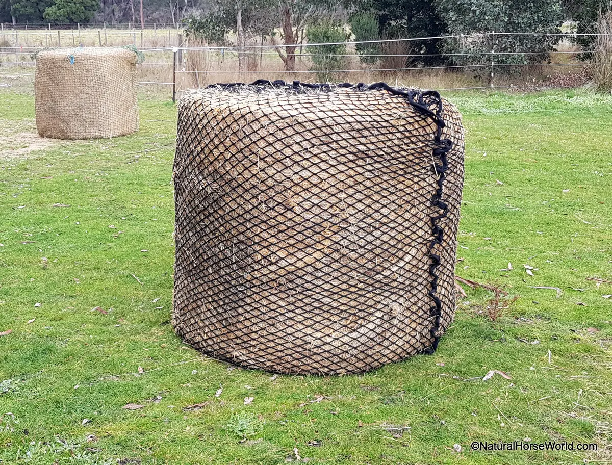 BagABale The Affordable Hay Transport Bag - Natural Horse World Deluxe Knotless Round Bale Slowfeed Hay Net 3cm, 4cm or 6cm hole sizes