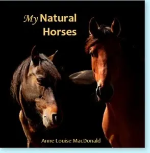 BagABale The Affordable Hay Transport Bag - Natural Horse World My Natural Horses book
